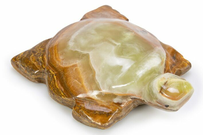 Carved Green Banded Calcite Turtle - Pakistan #301406